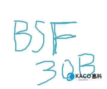 鮑斯BSF系列油霧過(guò)濾器BSF30B